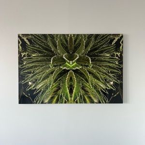 Photography wall art - Jungle Feever